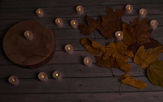 포토 JPG 해외이미지 나무 식물 계절 백그라운드 단풍 잎 텍스트 자연 표면 추상 잔디 사람없음 야외 목재 그래픽 가로 빛 갈색 노란색 환경 성장 가을 시골 죽음 역 고독 땅 허브 순수 생태계 질감 스위치 자원 대각선 내추럴 땅바닥 생태학 옛날 자금 카피스페이스 해외포토 교육 감정 선 컬러 컨셉 돈 무늬 재료 교통시설 바닥 금융 공백 파일형식 이미지허브