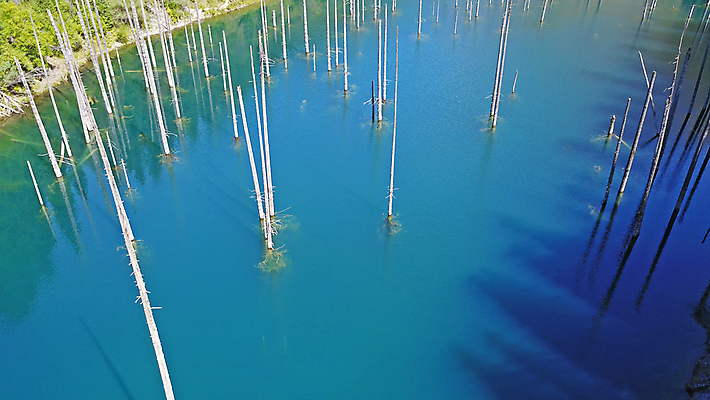 포토 JPG 해외이미지 나무 공원 호수 여행 자연 하늘 산 안테나 파노라마 사람 사람없음 초록색 물 파란색 뷰티 계곡 침묵 산책 나뭇가지 소나무 정상 숲 지역 내추럴 드론 전국 카자흐스탄 해외포토 자연요소 식물 공공시설 아시아 컬러 통신 휴식 촬영기법 소리 생태계 파일형식 이미지허브