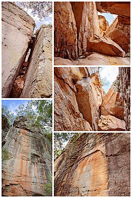 포토 JPG 해외이미지 모양 나무 식물 공원 벽 자연 아침 산 풍경 사람없음 야외 빨간색 파란색 빛 뷰티 환경 골짜기 절벽 거친 틈 동굴 가장자리 닫기 호주 묘사 속도 암초 모음 사암 산악지대 오지 울퉁불퉁 전국 특별함 해외포토 주간 공공시설 컬러 컨셉 모션 돌_바위 오세아니아 둘레 생태계 파일형식 이미지허브