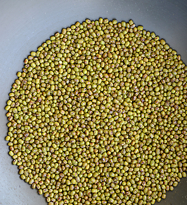 포토 JPG 해외이미지 식물 음식 백그라운드 채소 재료 자연 건조 건강 씨앗 사람없음 초록색 쌓기 금속 신선 그룹 은색 낟알 먹기 철 유기농 날것 성분 흙더미 내추럴 단백질 생식 많음 비건 해외포토 웰빙 컬러 컨셉 모션 재질 흙 생태계 영양소 채식주의자 파일형식 더미 이미지허브