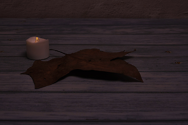 포토 JPG 해외이미지 나무 식물 계절 백그라운드 단풍 잎 텍스트 자연 표면 추상 잔디 사람없음 야외 목재 그래픽 가로 빛 갈색 노란색 환경 성장 가을 시골 죽음 역 고독 땅 허브 순수 생태계 질감 스위치 자원 대각선 내추럴 땅바닥 생태학 옛날 자금 카피스페이스 해외포토 교육 감정 선 컬러 컨셉 돈 무늬 재료 교통시설 바닥 금융 공백 파일형식 이미지허브