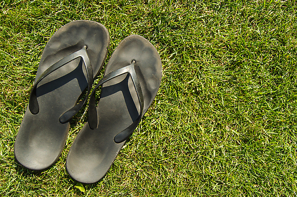 포토 JPG 해외이미지 계절 공원 남자 여행 백그라운드 신발 2 패턴 자연 휴가 휴식 슬리퍼 잔디 사람없음 야외 초록색 여름 컬러풀 햇빛 유행 우주 검은색 산책 쌍 샌들 주말 고무 양발 카피스페이스 해외포토 식물 공공시설 컬러 컨셉 무늬 사람 태양 공백 생태계 파일형식 이미지허브