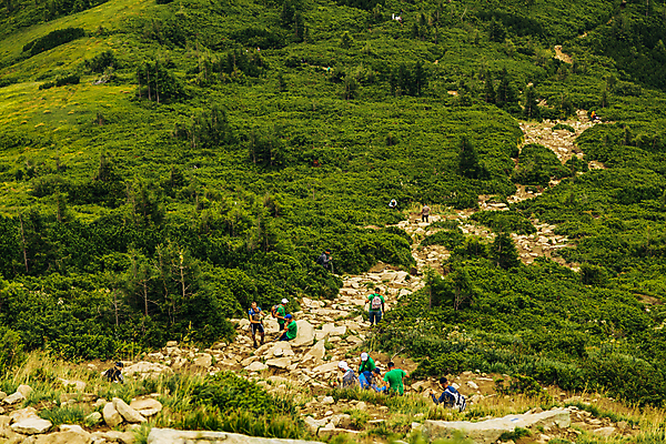 포토 JPG 해외이미지 나무 여행 백그라운드 자연 산 잔디 사람없음 야외 초록색 태양 우주 환경 맑음 봄 활발 시골 신선 내추럴 수평선 해외포토 자연요소 식물 계절 컬러 컨셉 날씨 생태계 파일형식 이미지허브
