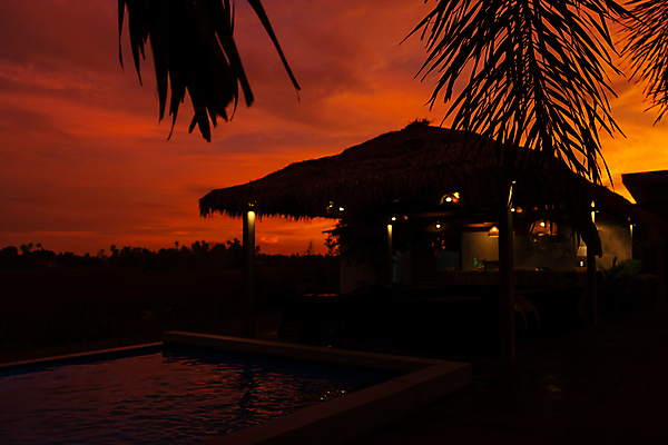 포토 JPG 해외이미지 나무 실루엣 아시아 파도 섬 여행 백그라운드 오렌지 자연 하늘 호텔 휴가 휴식 주택 손바닥 사람없음 야외 빨간색 물 빛 태양 뷰티 반사 노란색 일출 맑음 수영 일몰 황금 고급 저녁 빌라 휴양지 방갈로 이국적 파라다이스 해외포토 자연요소 식물 손 나라 바다 컬러 컨셉 과일 숙소 날씨 촬영기법 건물 노을 장소 수상스포츠 야간 생태계 파일형식 이미지허브