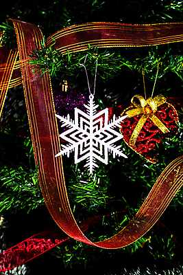 포토 JPG 해외이미지 나무 전통 계절 백그라운드 크리스마스장식 크리스마스 겨울 공 휴가 불꽃 주택 기념 매달리기 선물 사람없음 장식 빛 컬러풀 크리스마스트리 축제 화환 장식볼 나뭇가지 축하 소나무 눈송이 야간 소프트포커스 12월 질감 해외포토 자연요소 식물 기념일 꽃 컬러 컨셉 모션 불 눈_날씨 촬영기법 건물 날짜 파일형식 이미지허브