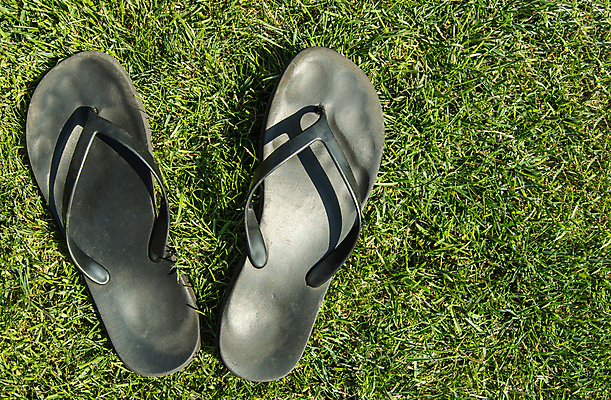 포토 JPG 해외이미지 계절 공원 남자 여행 백그라운드 신발 2 패턴 자연 휴가 휴식 슬리퍼 잔디 사람없음 야외 초록색 여름 컬러풀 햇빛 유행 우주 검은색 산책 쌍 샌들 주말 고무 양발 카피스페이스 해외포토 식물 공공시설 컬러 컨셉 무늬 사람 태양 공백 생태계 파일형식 이미지허브