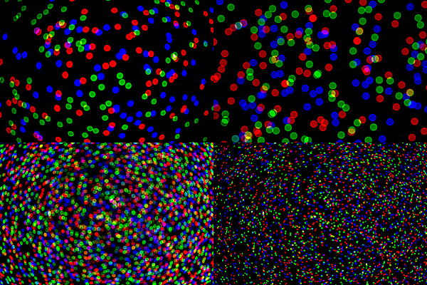 포토 JPG 해외이미지 백그라운드 패턴 공 추상 사람없음 빨간색 초록색 파란색 빛 세트 컬러풀 우주 검은색 어둠 활발 점 원형 플랫 야간 소프트포커스 디스코 보케 펑키 내추럴 강렬 광 분배 블러 엘리먼트 왜곡 팝 혼란 주도 해외포토 자연요소 도형 음악 컬러 컨셉 무늬 촬영기법 춤 예절 파일형식 이미지허브