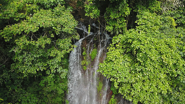 포토 JPG 해외이미지 나무 식물 계절 공원 꽃 아시아 섬 여행 자국 자연 안테나 풍경 사람없음 야외 목재 초록색 물 강 환경 트래킹 폭포 하이킹 흐름 가을 개울 숲 발리 인도네시아 드론 해외포토 자연요소 공공시설 나라 컬러 컨셉 재료 통신 레저 생태계 파일형식 이미지허브