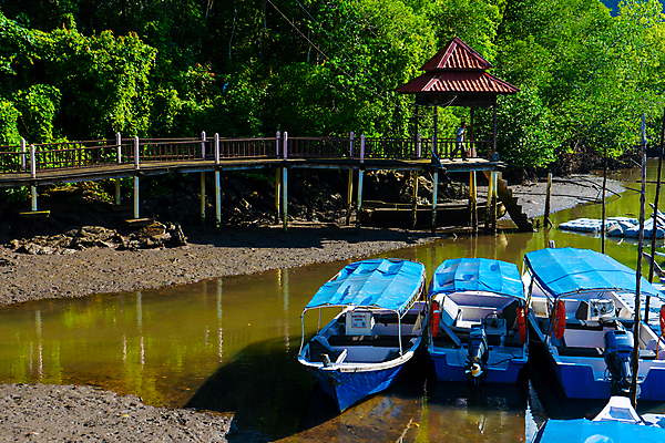 포토 JPG 해외이미지 나무 공원 아시아 호수 야생동물 바다 섬 여행 백그라운드 교통시설 자연 하늘 휴가 사람 사람없음 목재 초록색 물 파란색 강 여행객 보트 숲 언덕 모터보트 말레이시아 내추럴 많음 해외포토 자연요소 식물 동물 공공시설 나라 컬러 교통 컨셉 배_교통 재료 시설 생태계 파일형식 이미지허브