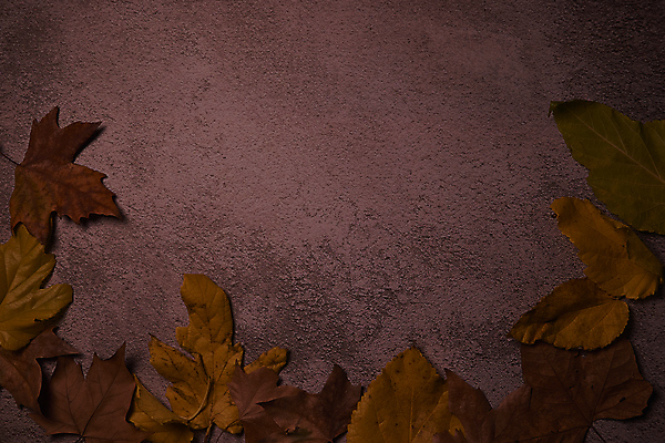 포토 JPG 해외이미지 나무 식물 계절 백그라운드 단풍 잎 텍스트 자연 표면 추상 잔디 사람없음 야외 목재 그래픽 가로 빛 갈색 노란색 환경 성장 가을 시골 죽음 역 고독 땅 허브 순수 생태계 질감 스위치 자원 대각선 내추럴 땅바닥 생태학 옛날 자금 카피스페이스 해외포토 교육 감정 선 컬러 컨셉 돈 무늬 재료 교통시설 바닥 금융 공백 파일형식 이미지허브