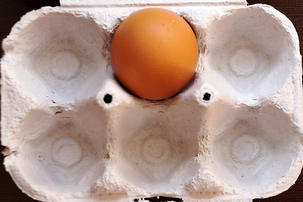 포토 JPG 해외이미지 동물 1 종이 음식 백그라운드 포장 부활절 쟁반 건강 요리 사람없음 상자 갈색 계란 치킨 껍질 신선 오픈 아침식사 컨테이너 오브젝트 싱글 유기농 날것 머리위 패키지 수납 내추럴 판지 단백질 해외포토 웰빙 기념일 산업 컬러 알 식사 닭고기요리 영양소 파일형식 이미지허브