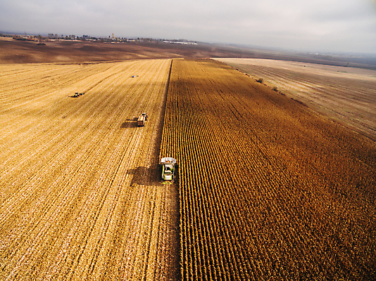 포토 JPG 해외이미지 식물 계절 산업 음식 밭 농업 자연 안테나 옥수수 씨앗 사람없음 빨간색 농장 농경지 갈색 기계 흙 봄 운전 수확 시골 업무 작업 바퀴 칼날 농부 땅 준비 트랙터 드론 땅바닥 밭일 심기 쟁기 조감도 해외포토 직업 컬러 통신 모션 곡류 바닥 농기계 생태계 특수차량 파일형식 이미지허브