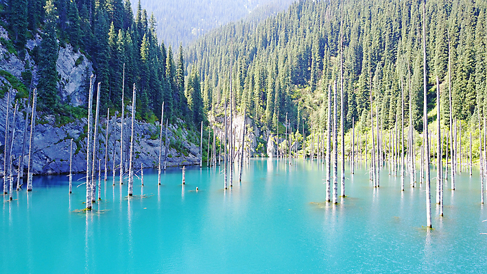 포토 JPG 해외이미지 나무 공원 호수 여행 자연 하늘 산 안테나 파노라마 사람 풍경 사람없음 초록색 물 여름 파란색 뷰티 계곡 침묵 산책 나뭇가지 소나무 정상 숲 지역 내추럴 드론 전국 카자흐스탄 해외포토 자연요소 식물 계절 공공시설 아시아 컬러 통신 휴식 촬영기법 소리 생태계 파일형식 이미지허브