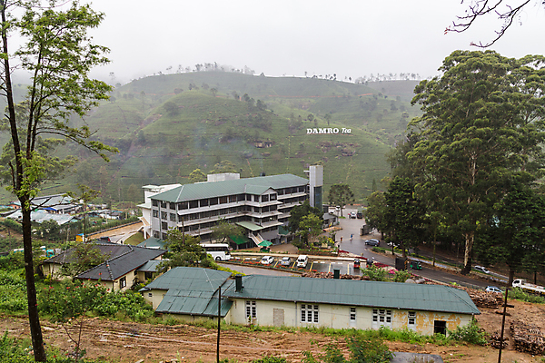 포토 JPG 해외이미지 식물 산업 아시아 여행 밭 농업 공장 주택 동양인 풍경 사람없음 건물 초록색 농장 여행객 성장 시골 재산 차 제조 장면 스리랑카 해외포토 건축물 나라 음료 컬러 공업 사람 인종 금융 파일형식 이미지허브