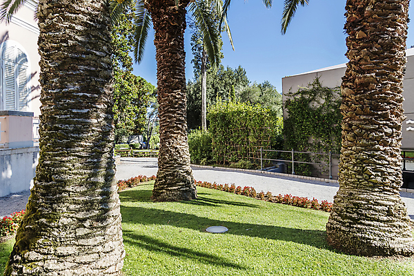 포토 JPG 해외이미지 나무 식물 공원 꽃 유럽 여행 백그라운드 잎 패턴 오렌지 자연 하늘 표면 휴가 손바닥 3 사람없음 야외 목재 장식 초록색 여름 갈색 정원 맑음 성장 나뭇가지 도시 거친 묘사 질감 나무껍질 수목 옛날 이국적 해외포토 손 계절 공공시설 나라 컬러 무늬 과일 재료 날씨 껍질 생태계 파일형식 이미지허브