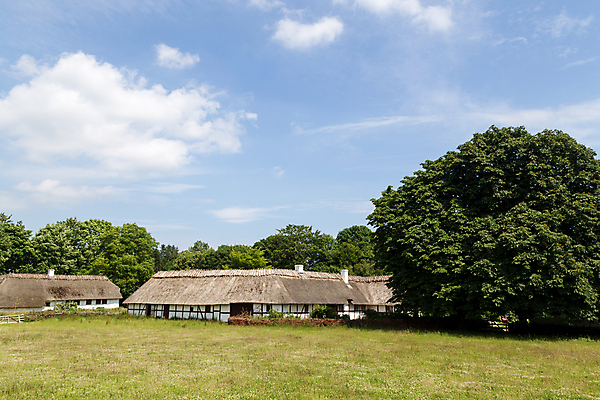 포토 JPG 해외이미지 전통 외관 농업 건축양식 지붕 주택 덴마크 사람없음 야외 건물 목재 농가 농장 농경지 마을 골동품 시골 박물관 밀짚 밭일 스칸디나비아 옛날 해외포토 나무 건축물 건축 산업 재료 북유럽 짚 파일형식 이미지허브