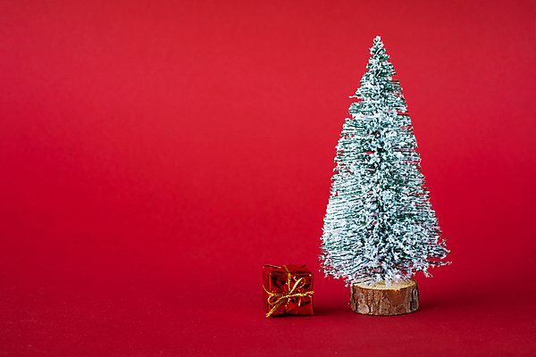 포토 JPG 해외이미지 나무 전통 디자인 계절 백그라운드 컨셉 크리스마스 겨울 자연 휴가 새해 선물 사람없음 목재 장식 빨간색 초록색 빛 상자 컬러풀 우주 축제 놀람 흰색 축하 소나무 신용카드 눈송이 12월 심볼 활 엽서 전나무 고립 눈내림 해외포토 식물 기념일 감정 컬러 재료 눈_날씨 표정 금융 날짜 편지 생태계 파일형식 이미지허브