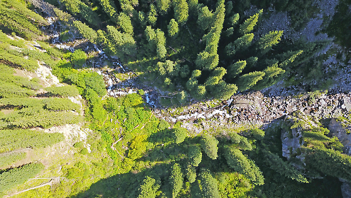 포토 JPG 해외이미지 나무 공원 호수 여행 자연 하늘 산 안테나 파노라마 사람 풍경 사람없음 초록색 물 여름 파란색 뷰티 계곡 침묵 산책 나뭇가지 소나무 정상 숲 지역 내추럴 드론 전국 카자흐스탄 해외포토 자연요소 식물 계절 공공시설 아시아 컬러 통신 휴식 촬영기법 소리 생태계 파일형식 이미지허브