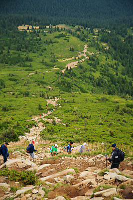 포토 JPG 해외이미지 나무 여행 백그라운드 자연 산 잔디 사람없음 야외 초록색 태양 우주 환경 맑음 봄 활발 시골 신선 내추럴 수평선 해외포토 자연요소 식물 계절 컬러 컨셉 날씨 생태계 파일형식 이미지허브