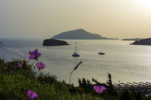 포토 JPG 해외이미지 나무 계절 실루엣 유럽 바다 여행 하늘 휴가 파노라마 사람없음 야외 물 빛 햇빛 뷰티 노란색 여행객 환경 황혼 일몰 활발 만 보트 저녁 지중해 그리스 언덕 장면 아테네 포트 그리스인 내추럴 화창 수평선 해외포토 자연요소 서양인 식물 나라 컬러 컨셉 배_교통 날씨 촬영기법 사람 태양 노을 야간 파일형식 이미지허브