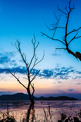 포토 JPG 해외이미지 나무 호수 물결 여행 오렌지 자연 유리 하늘 표면 파노라마 사람없음 물 파란색 빛 강 햇빛 태양 반사 노란색 일출 침묵 일몰 봄 거울 투명 황금 저녁 만족 상승 스카이라인 낭비 내추럴 강렬 수평선 해외포토 자연요소 식물 계절 감정 컬러 컨셉 과일 재질 촬영기법 노을 소리 야간 생태계 파일형식 이미지허브