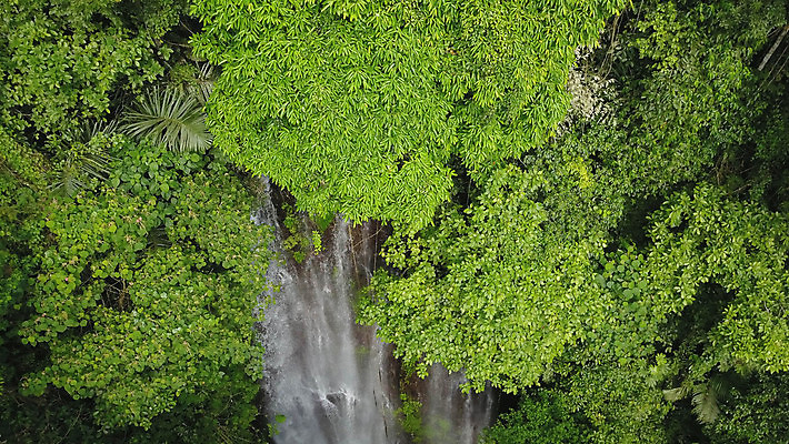 포토 JPG 해외이미지 나무 식물 공원 꽃 아시아 여행 자국 자연 수영장 안테나 동양인 풍경 사람없음 목재 초록색 물 강 컬러풀 환경 트래킹 폭포 하이킹 흐름 가을 개울 숲 대나무 발리 인도네시아 내추럴 드론 전국 해외포토 자연요소 계절 공공시설 나라 컬러 섬 컨셉 재료 통신 레저 인종 생태계 파일형식 이미지허브