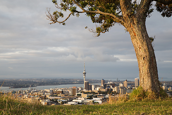 포토 JPG 해외이미지 나무 바다 여행 하늘 새로움 산 사람없음 건물 도시 재산 도심 정상 부식 화산 뉴질랜드 분화구 타운 원뿔 스카이라인 남쪽 고고학 옛날 수평선 해외포토 도형 식물 건축물 교육 컨셉 금융 오세아니아 방향 파일형식 이미지허브