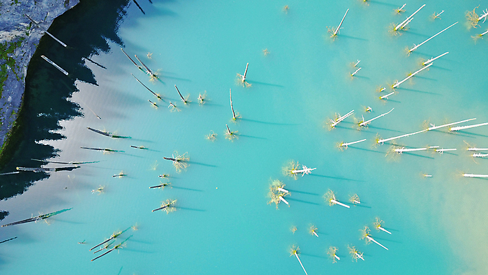 포토 JPG 해외이미지 나무 공원 호수 여행 자연 하늘 산 안테나 파노라마 사람 풍경 사람없음 초록색 물 여름 파란색 뷰티 계곡 침묵 산책 나뭇가지 소나무 정상 숲 지역 내추럴 드론 전국 카자흐스탄 해외포토 자연요소 식물 계절 공공시설 아시아 컬러 통신 휴식 촬영기법 소리 생태계 파일형식 이미지허브