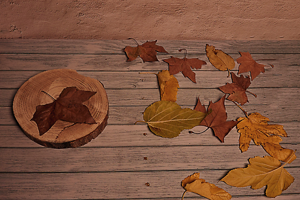 포토 JPG 해외이미지 나무 식물 계절 백그라운드 단풍 잎 텍스트 자연 표면 추상 잔디 사람없음 야외 목재 그래픽 가로 빛 갈색 노란색 환경 성장 가을 시골 죽음 역 고독 땅 허브 순수 생태계 질감 스위치 자원 대각선 내추럴 땅바닥 생태학 옛날 자금 카피스페이스 해외포토 교육 감정 선 컬러 컨셉 돈 무늬 재료 교통시설 바닥 금융 공백 파일형식 이미지허브