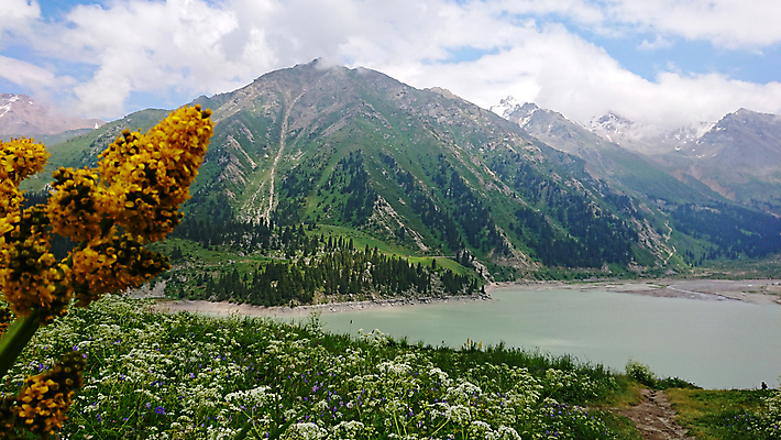 포토 JPG 해외이미지 나무 계절 꽃 호수 여행 캐나다 자연 하늘 산 안테나 사람없음 야외 초록색 물 파란색 반사 환경 힘 봄 숲 큼 스위스 내추럴 밴프 앨버타 전국 절정 카자흐스탄 터키석 해외포토 자연요소 식물 유럽 아시아 컬러 북아메리카 통신 크기 보석 생태계 파일형식 이미지허브