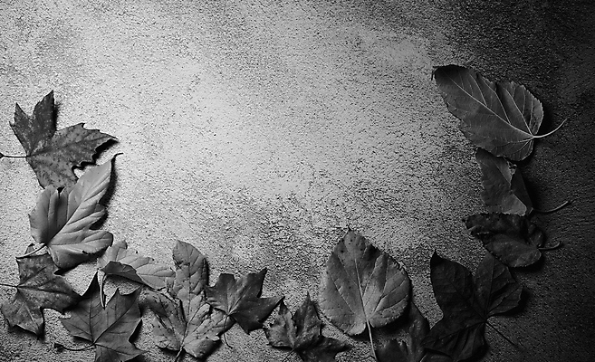 포토 JPG 해외이미지 나무 식물 계절 백그라운드 단풍 잎 텍스트 자연 표면 추상 잔디 사람없음 야외 목재 그래픽 가로 빛 갈색 노란색 환경 성장 가을 시골 죽음 역 고독 땅 허브 순수 생태계 질감 스위치 자원 대각선 내추럴 땅바닥 생태학 옛날 자금 카피스페이스 해외포토 교육 감정 선 컬러 컨셉 돈 무늬 재료 교통시설 바닥 금융 공백 파일형식 이미지허브