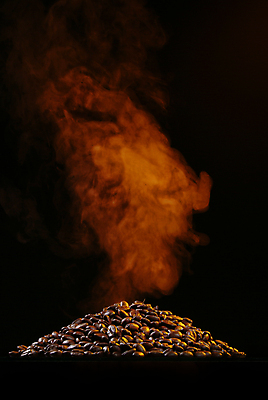 포토 JPG 해외이미지 커피 음료 음식 백그라운드 패턴 농업 재료 추상 콩 건강 씨앗 사람없음 갈색 우주 어둠 흰색 신선 뜨거움 그룹 굽기 질감 내추럴 고립 카페인 해외포토 식물 산업 컬러 무늬 곡류 구이 파일형식 이미지허브