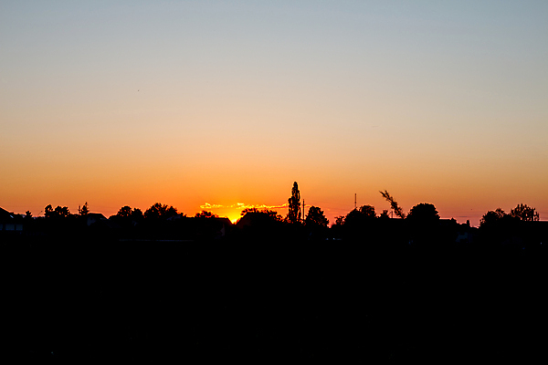 포토 JPG 해외이미지 나무 구름 실루엣 밭 오렌지 자연 하늘 아침 서기 풍경 사람없음 야외 여름 빛 햇빛 태양 일몰 도시 분위기 저녁 스카이라인 수평선 해외포토 주간 자연요소 식물 계절 컨셉 농업 과일 모션 촬영기법 노을 야간 생태계 파일형식 이미지허브