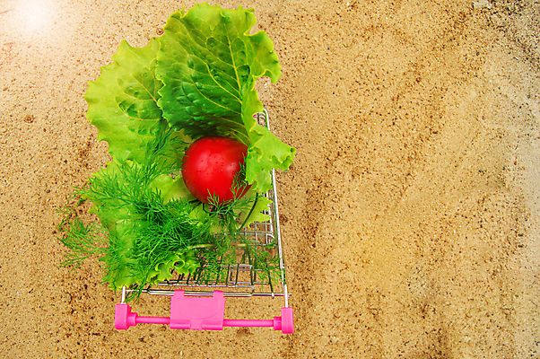 포토 JPG 해외이미지 잡화 음식 모래 백그라운드 다이어트 토마토 채소 과일 재료 양파 오이 건강 사람없음 빨간색 초록색 빛 쇼핑 컬러풀 세일 바구니 맑음 카트 샐러드 수확 신선 그룹 시장 구매 상품 상추 브로콜리 허브 가득함 고객 유기농 상업 후추 소매 슈퍼마켓 채식주의자 해외포토 식물 웰빙 컬러 농업 날씨 상점 향신료 채식 파일형식 이미지허브