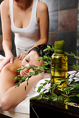 포토 JPG 해외이미지 여자 엎드리기 잎 실내 상반신 성인 두명 앞모습 옆모습 눕기 눈감음 스파 나뭇가지 마사지 오일 마사지사 테라피 성인여자만 해외포토 나무 식물 직업 음식 뷰포인트 모션 사람 내부 뷰티 화장품 여자만 성인만 파일형식 이미지허브