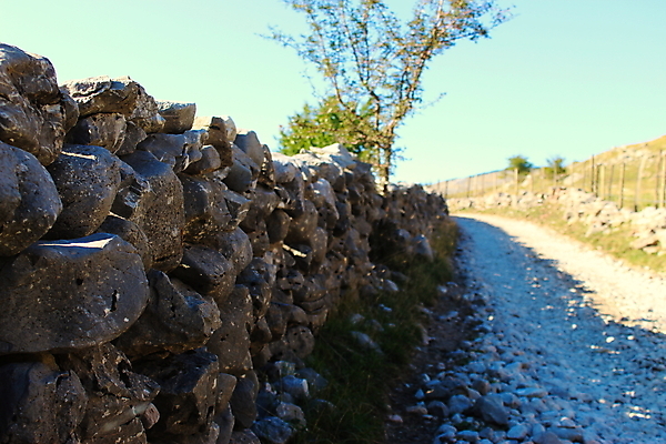 포토 JPG 해외이미지 외관 도로 벽 백그라운드 밭 건축양식 자연 산 사람없음 야외 울타리 쌓기 걷기 마을 힘 하이킹 회색 바위 경계선 시골 큼 묘사 유기농 길가 다음 보스니아 옛날 핸드메이드 불규칙 해외포토 웰빙 건축 길 선 컬러 컨셉 농업 교통시설 모션 레저 담장 돌_바위 크기 경계 생태계 파일형식 이미지허브