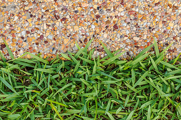 포토 JPG 해외이미지 전통 디자인 도로 길 백그라운드 패턴 오렌지 포장 건축양식 표면 추상 바닥 주택 사람없음 야외 초록색 파란색 봄 회색 성장 흰색 거친 보행로 땅 질감 정사각형 시멘트 방법 콘크리트 해외포토 도형 계절 건축 컬러 무늬 과일 교통시설 건물 파일형식 이미지허브