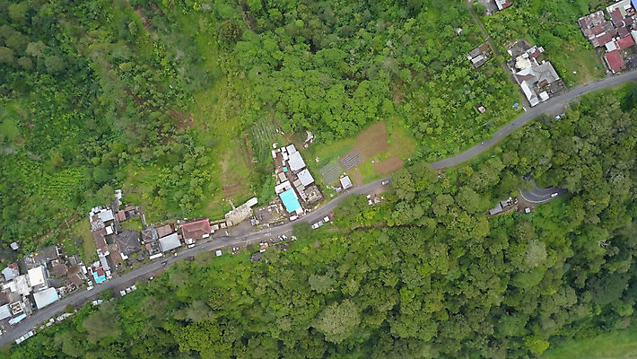 포토 JPG 해외이미지 나무 식물 아시아 길 여행 백그라운드 골프 자연 하늘 휴가 안테나 풍경 사람없음 초록색 정원 숲 휴양지 대문 발리 인도네시아 해외포토 나라 컬러 섬 통신 구기 문 장소 생태계 파일형식 이미지허브