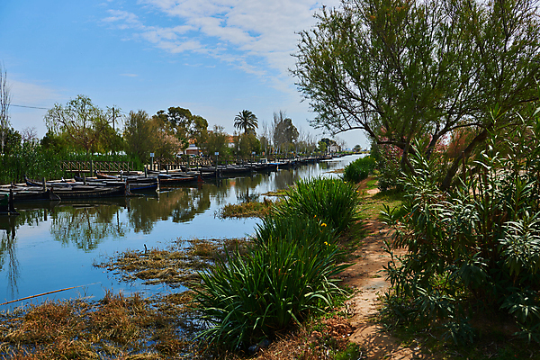 포토 JPG 해외이미지 나무 공원 호수 야생동물 여행 백그라운드 자연 하늘 오리 어류 풍경 사람없음 야외 목재 초록색 물 여름 파란색 강 반사 보라색 검은색 산책 산책로 거울 놀이터 숲 시원함 옛날 해외포토 자연요소 식물 동물 계절 공공시설 길 컬러 재료 놀이 조류 휴식 수중동물 생태계 파일형식 이미지허브