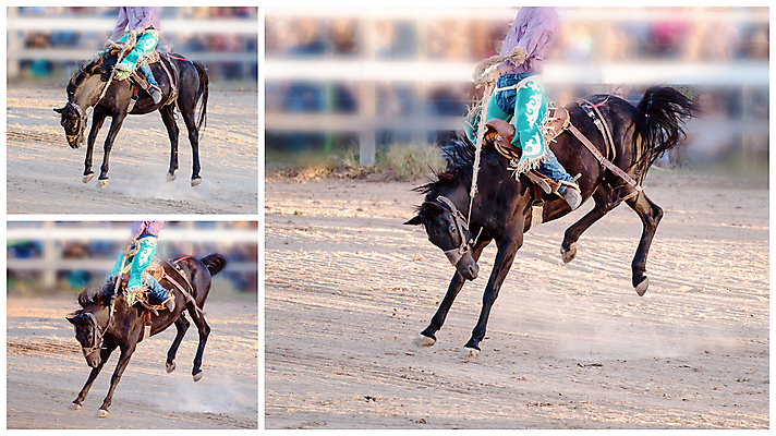 포토 JPG 해외이미지 동물 남자 밧줄 스포츠 포즈 모션 이벤트 사람없음 달러 점프 가축 경쟁 경기장 공연 시골 자신감 거친 승마 카우보이 호주 승차 주식 위험 속도 먼지 모음 로데오 라이더 서쪽 어려움 오지 해외포토 감정 줄 컨셉 돈 스포츠시설 사람 금융 오세아니아 방향 파일형식 이미지허브
