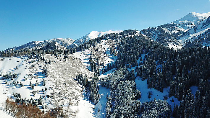 포토 JPG 해외이미지 나무 구름 계절 여행 크리스마스 겨울 자연 하늘 동화 휴가 산 안테나 파노라마 풍경 경사 사람없음 야외 파란색 평화 계곡 냉동 하이킹 추위 흰색 소나무 정상 숲 언덕 산등성이 서리 장면 드론 절정 카자흐스탄 눈내림 가문비나무 해외포토 자연요소 식물 기념일 아시아 컬러 컨셉 통신 레저 눈_날씨 촬영기법 생태계 파일형식 이미지허브