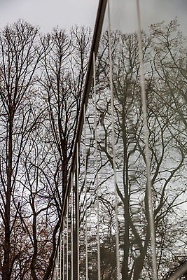 포토 JPG 해외이미지 나무 식물 외관 계절 공원 벽 백그라운드 건축양식 자연 유리 표면 건조 풍경 사람없음 야외 건물 반사 환경 정원 새벽 나뭇가지 저녁 장면 내추럴 해외포토 자연요소 건축물 공공시설 건축 재질 야간 생태계 파일형식 이미지허브