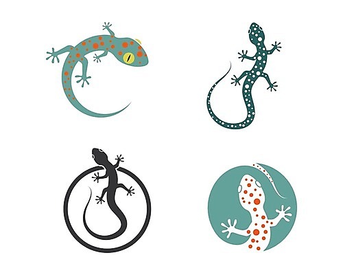 EPS 해외이미지 모양 동물 디자인 실루엣 야생동물 백그라운드 일러스트 파충류 자연 추상 그래픽 검은색 웹 흰색 만화 문신 심볼 꼬리 도마뱀 심플 고립 카멜레온 해외일러스트 컬러 무늬 인터넷 촬영기법 생태계 파일형식 벡터 이미지허브