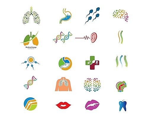 EPS 해외이미지 선 과학 신체 일러스트 해부 근육 뼈 건강 실험 사람 내부 세트 약 하트 오르간 실험실 신장 치아 DNA 심볼 입술 뇌 코 생물학 간 윤곽 귀 자궁 방광 췌장 고립 해외일러스트 모양 교육 의학 신체부위 소화기관 장기_의학 건반악기 비뇨기관 생명공학 파일형식 벡터 이미지허브