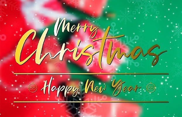 EPS 해외이미지 전통 배너 계절 행복 포스터 별 리본 백그라운드 컨셉 크리스마스 겨울 일러스트 캘리그라피 공 휴가 새로움 새해 귤 선물 이벤트 장식 초록색 상자 파티 축제 나뭇가지 축하 인사 소나무 신용카드 눈송이 황금 고급 12월 연도 심볼 엽서 초대 엘리먼트 레터링 해외일러스트 자연요소 나무 기념일 감정 컬러 과일 금융 눈 예절 날짜 편지 파일형식 벡터 이미지허브