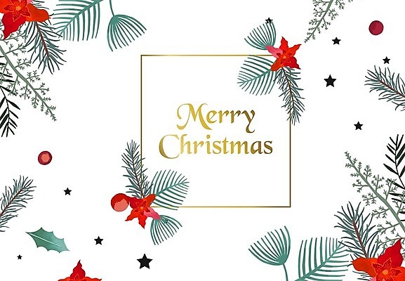 EPS 해외이미지 나무 식물 템플릿 디자인 배너 계절 꽃 행복 포스터 백그라운드 잎 크리스마스 겨울 꽃무늬 패턴 일러스트 자연 휴가 새로움 프레임 그래픽 장식 빨간색 초록색 세일 축하 인사 소나무 신용카드 황금 우아함 12월 연도 그림 엽서 초대 침엽수 노엘 해외일러스트 기념일 감정 컬러 컨셉 무늬 금융 예절 날짜 편지 생태계 파일형식 벡터 이미지허브