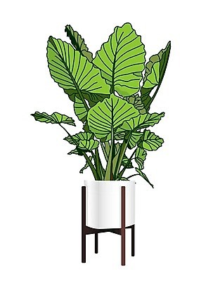 EPS 해외이미지 식물 디자인 화초 잎 패턴 일러스트 자연 아파트 주택 실내 내부 장식 초록색 유행 검은색 성장 냄비 흰배경 그림 원예 질감 분재 고립 이국적 스타일 해외일러스트 나무 컬러 백그라운드 무늬 취미 건물 흰색 솥 생태계 파일형식 벡터 이미지허브