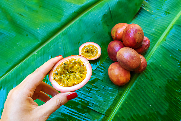 포토 JPG 해외이미지 열매 음식 조각 백그라운드 잎 다이어트 과일 부분 디저트 바나나 건강 씨앗 사람없음 빨간색 초록색 보라색 주스 흰색 신선 그룹 달콤 맛 자르기 오브젝트 유기농 날것 슬라이스 열정 내추럴 고립 숙성 이국적 해외포토 식물 웰빙 감정 음료 컬러 컨셉 모션 파일형식 이미지허브