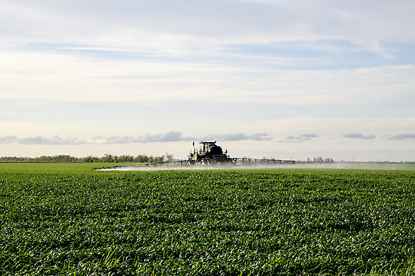 포토 JPG 해외이미지 음식 밭 농업 자연 하늘 노동자 풍경 사람없음 야외 치료 초록색 태양 농장 환경 기계 일몰 새벽 장비 운전 성장 시골 신선 작업 바퀴 독약 어플리케이션 보호 밀 스프레이 장면 분무기 트랙터 내추럴 거름 밭일 조작 화학물질 해외포토 자연요소 직업 산업 컬러 컨셉 의학 모션 곡류 노을 화학 농기계 생태계 특수차량 파일형식 이미지허브