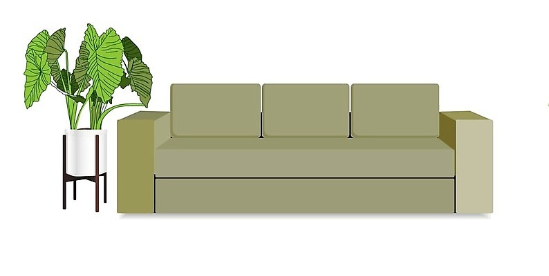 EPS 해외이미지 나무 식물 라이프스타일 디자인 꽃 화분 화초 가구 꽃무늬 일러스트 건축양식 창문 자연 휴식 바닥 주택 실내 내부 목재 장식 초록색 소파 유행 3D 정원 꽃병 방 흰색 플랫 냄비 오브젝트 원예 브런치 리빙 내추럴 고립 다락방 심기 엘리먼트 스타일 파케트 해외일러스트 건축 컬러 생활용품 컨셉 무늬 의자 재료 모션 취미 건물 생활 식사 솥 디지털합성 생태계 파일형식 벡터 이미지허브
